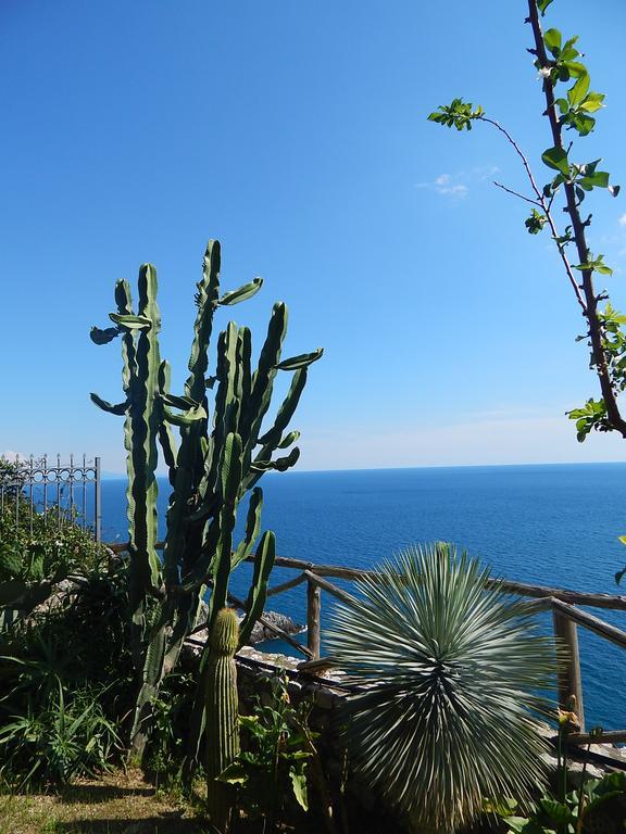 Amalfi View Cottage Eksteriør bilde